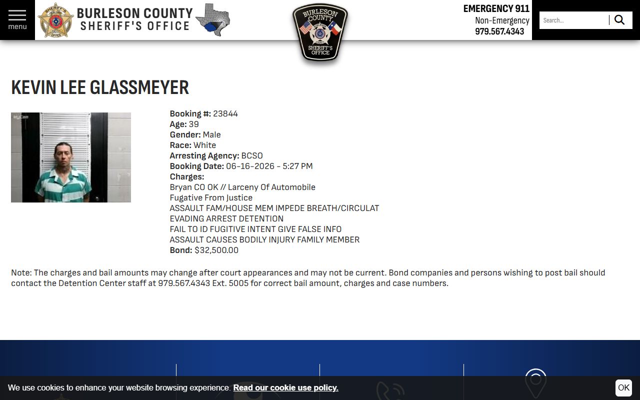 Burleson County inmate records sample booking profile
